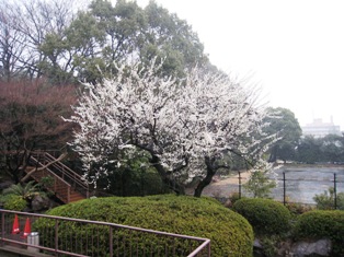 第70回例会の報告_b0160959_20503391.jpg