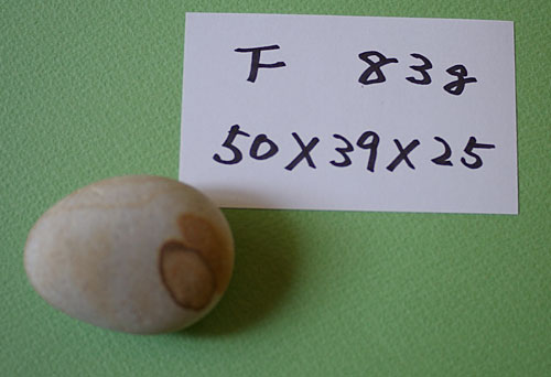 a0064067_14291.jpg