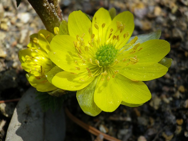 d0054276_20281118.jpg