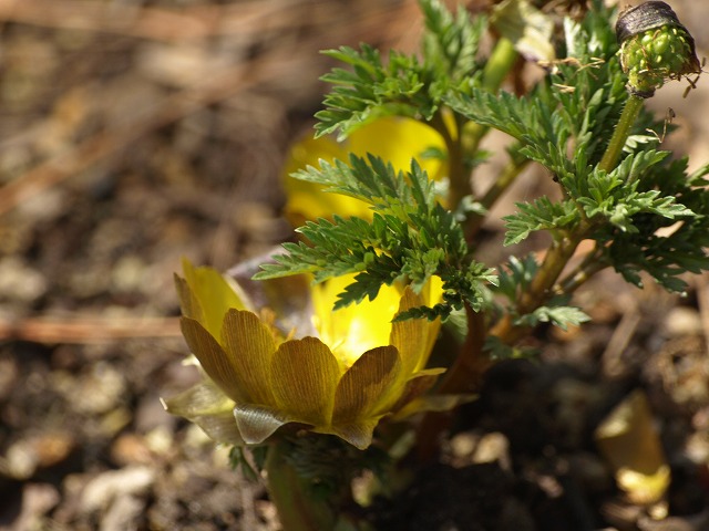 d0054276_20284948.jpg