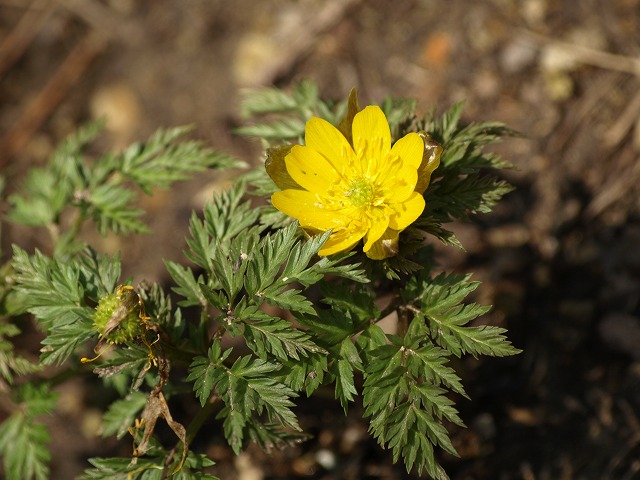 d0054276_2029064.jpg