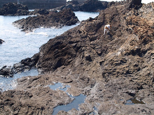 d0236381_0442753.jpg