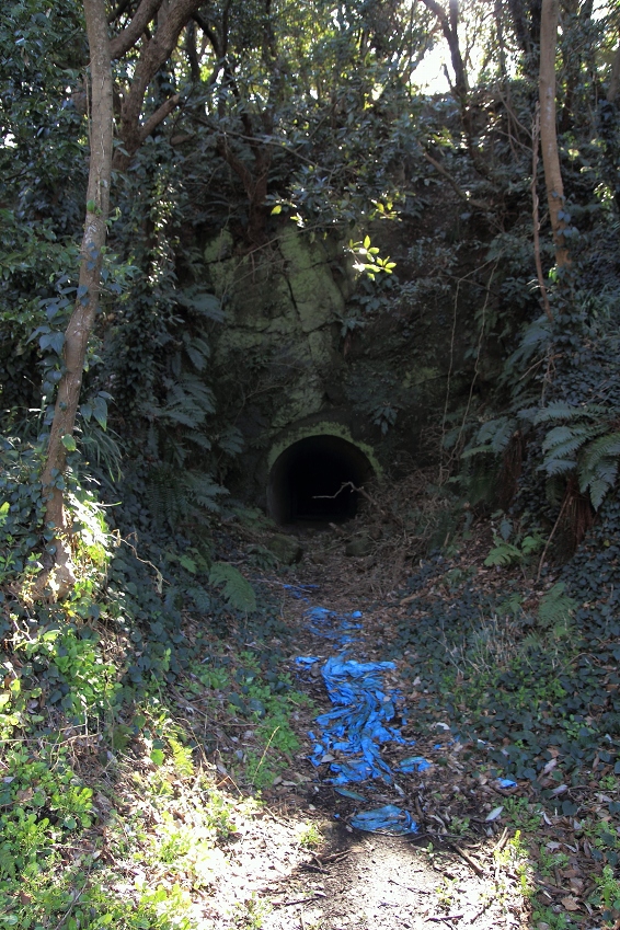 館山にある防空壕跡地探検_d0040882_15491177.jpg