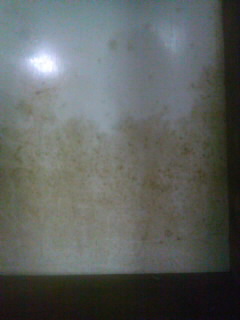 c0246783_18354217.jpg