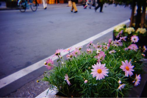 c0236197_12561438.jpg