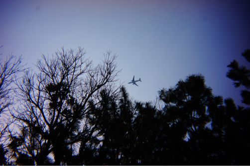 c0236197_1256723.jpg