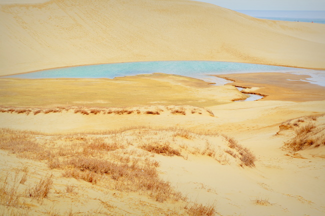c0238097_2241222.jpg