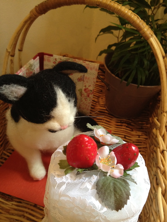 ペットシーツケーキ&アクセサリー展(3/24まで)_d0091404_18274977.jpg
