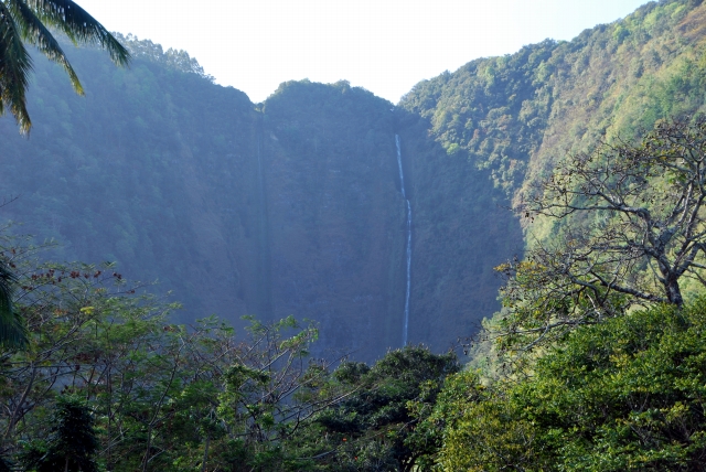 d0051707_21224645.jpg