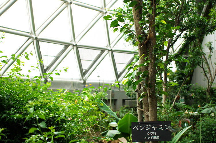 c0033513_20221861.jpg