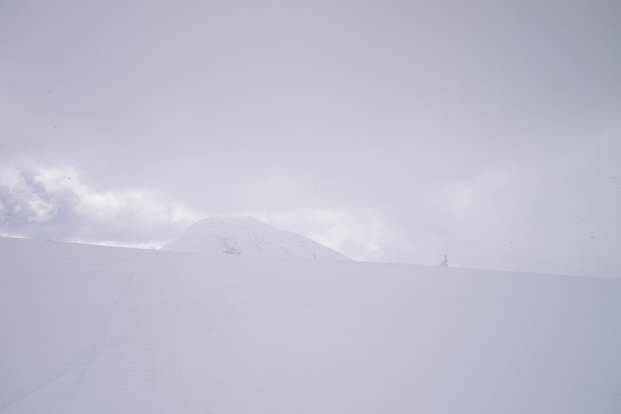 c0073613_3182064.jpg