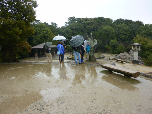 ネーチャークラブ 山歩き_e0048413_2027083.jpg