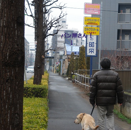 なぜか 3時間のあさんぽ_b0226221_116437.jpg