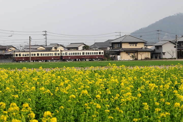 ことでんレトロ電車_a0165631_18111844.jpg