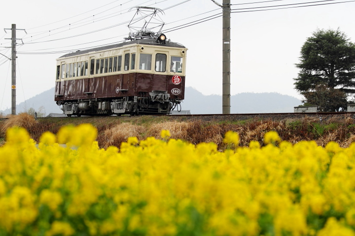 ことでんレトロ電車_a0165631_1811832.jpg