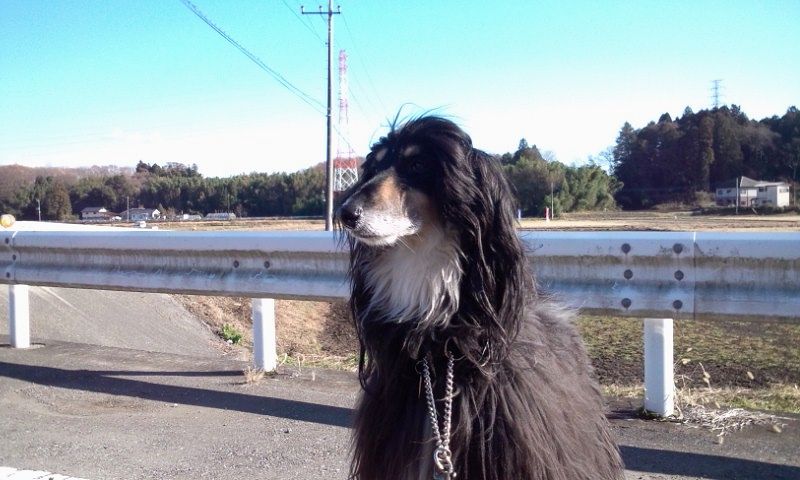 c0059331_2355979.jpg