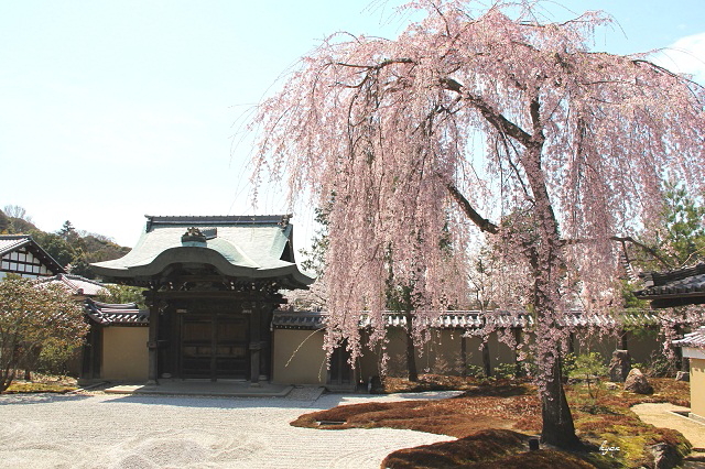 c0244037_16115645.jpg