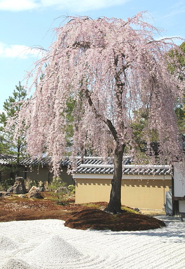 c0244037_16122724.jpg