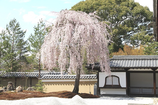 c0244037_1623275.jpg