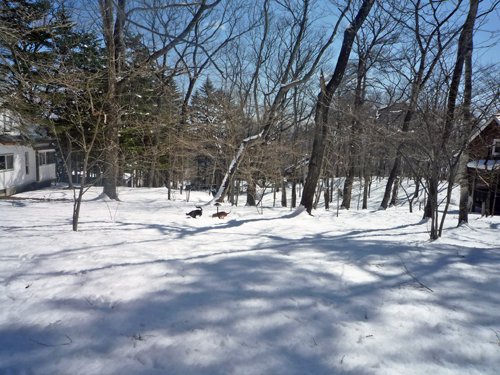 b0045357_846389.jpg