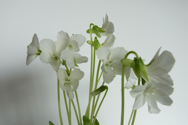 c0247861_9105730.jpg