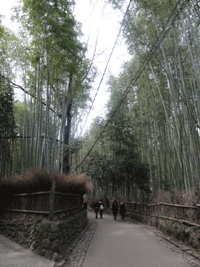 京都旅行記　　その9_d0137664_20535284.gif