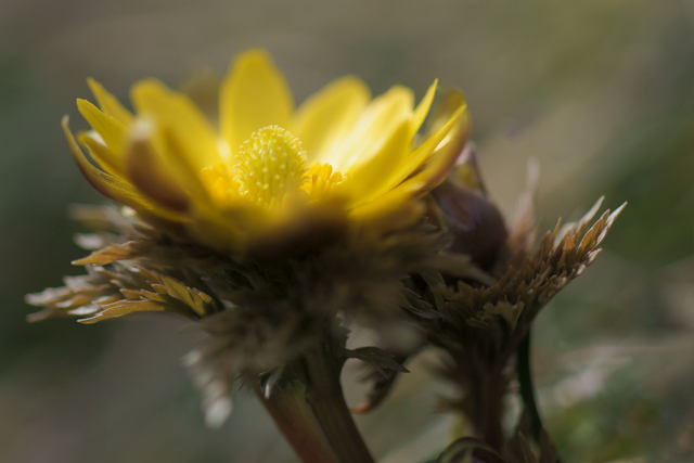 b0223668_7431250.jpg