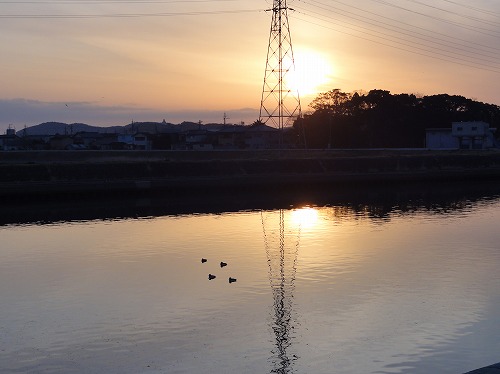 朝日を浴びて_b0135970_9152952.jpg