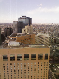 f0112873_2381587.jpg