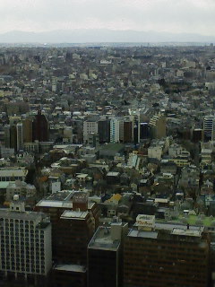 f0112873_2395065.jpg