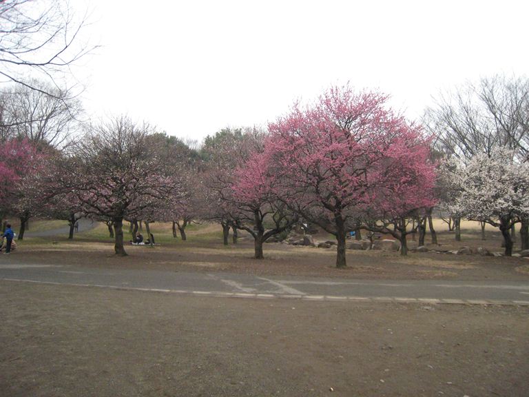 所沢・航空公園へ_b0075575_014445.jpg