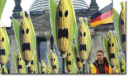 放射性瓦礫:放射性物質はカルタゴの塩 + 「がれき移動は危険」 チェルノブイリ研究者が懸念_c0139575_162854.jpg