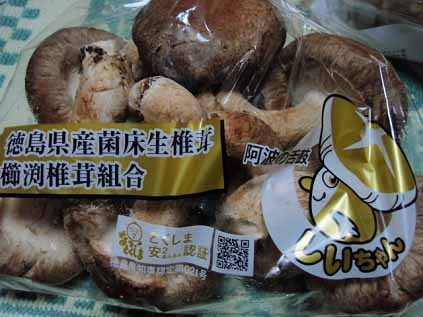 放射性瓦礫:放射性物質はカルタゴの塩 + 「がれき移動は危険」 チェルノブイリ研究者が懸念_c0139575_164007.jpg
