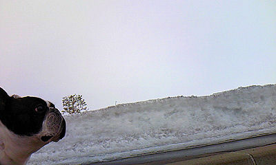 b0056476_17463542.jpg