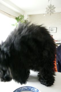 2012年3月18日 そんなもんです~_b0098584_204790.jpg