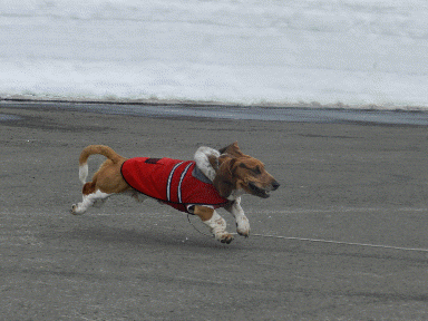 f0205887_1953892.gif