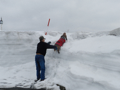 f0205887_1954818.gif