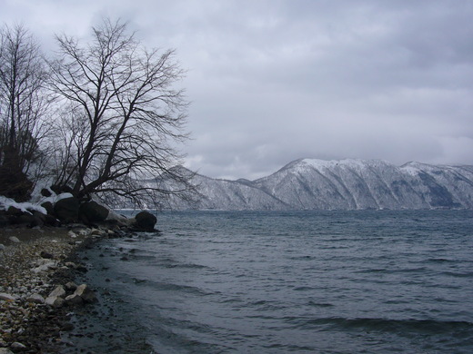 a0118989_2150447.jpg