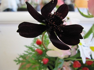 c0152002_18242812.jpg