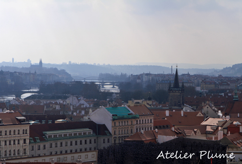 e0154202_23331750.jpg