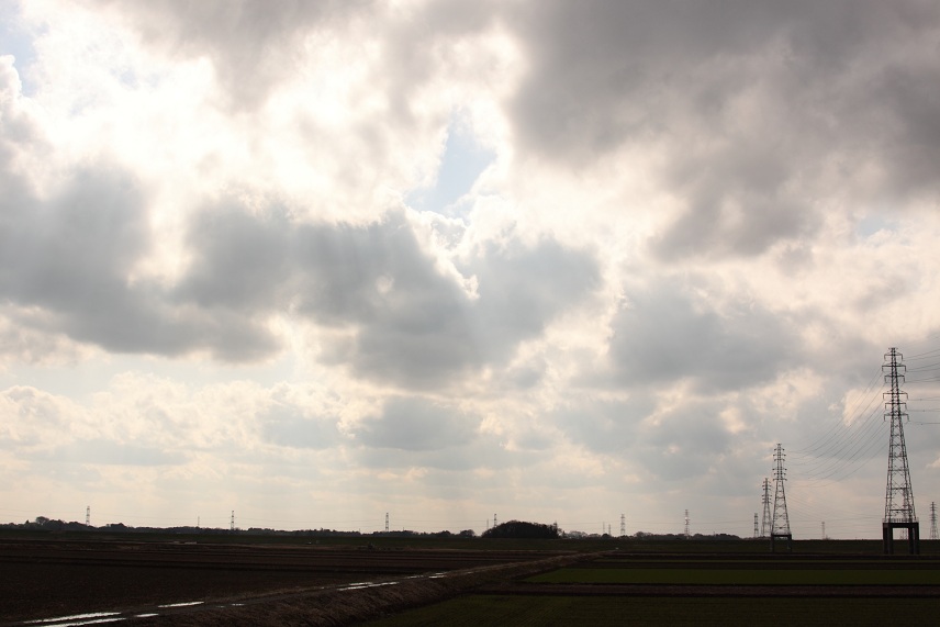 2012年3月19日(3月前半)_e0102806_74741100.jpg