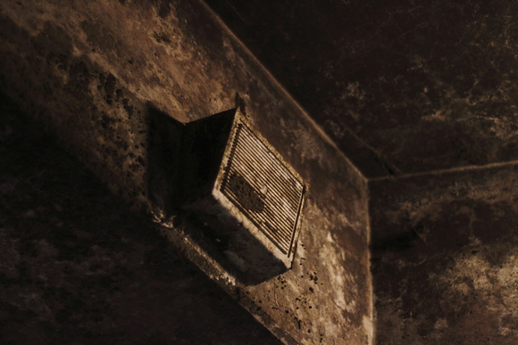 f0210808_112237.jpg