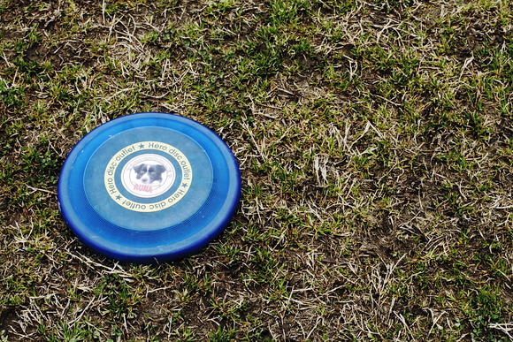 f0210808_123272.jpg