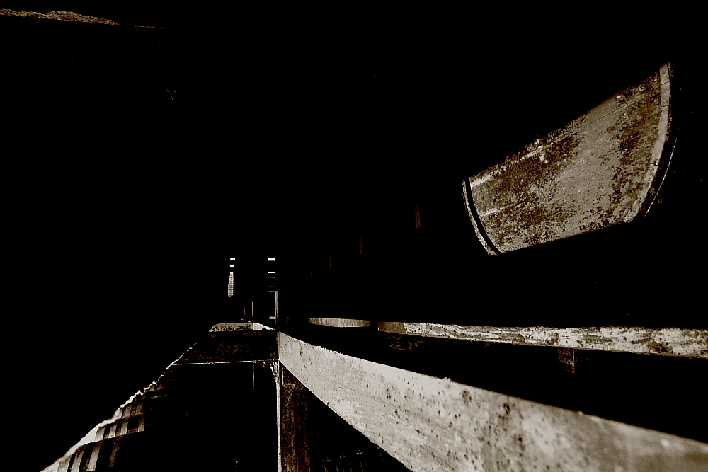 f0210808_142946.jpg