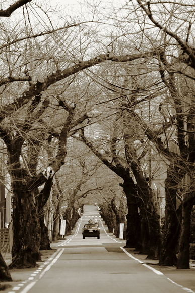 f0210808_159427.jpg