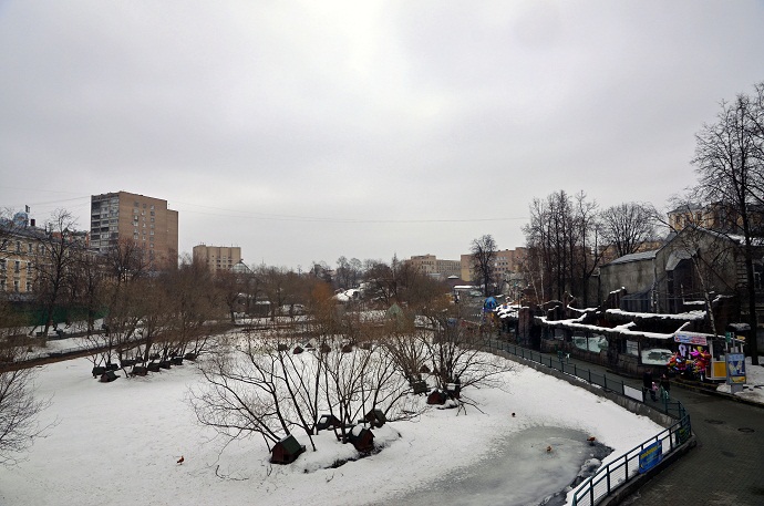 a0151913_4185499.jpg