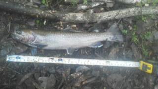 c0218716_11173895.jpg
