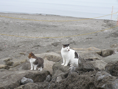 社会貢献活動 クリーンアップ_e0237625_194927.jpg