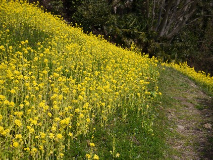 f0232136_1038491.jpg