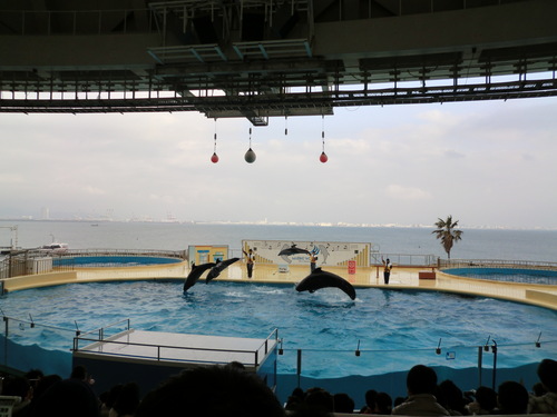 水族館に行ってきました♪_a0188838_2274921.jpg